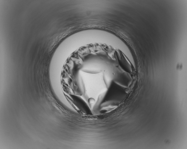 X0000113990401200910231734