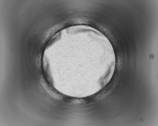 X0000113990402200910231734