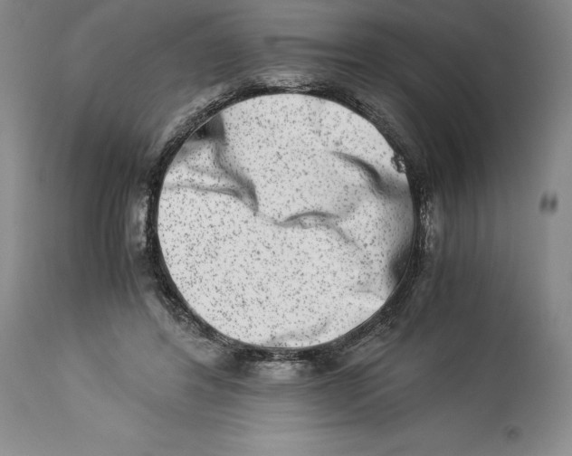 X0000113990404200910231734