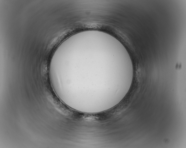 X0000113990407200910231734