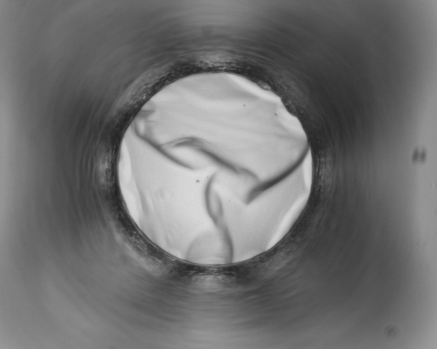 X0000113990408200910231734