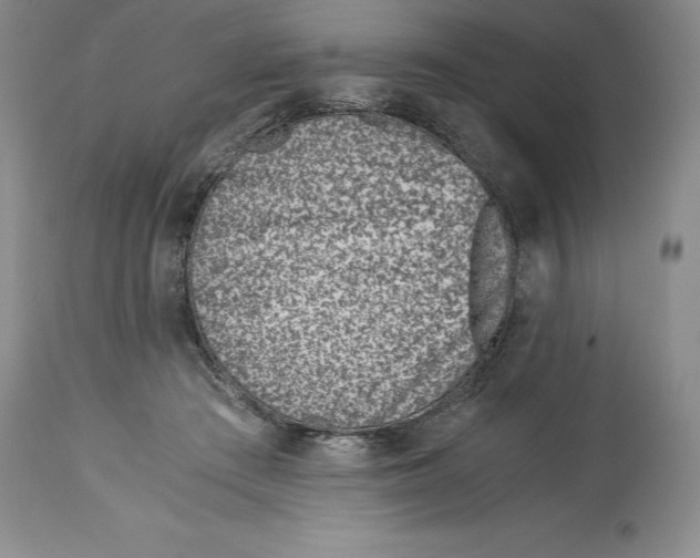 X0000113990409200910231734