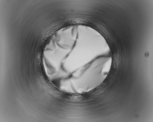 X0000113990410200910231734