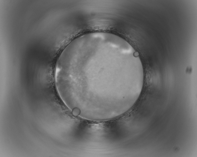 X0000113990411200910231734