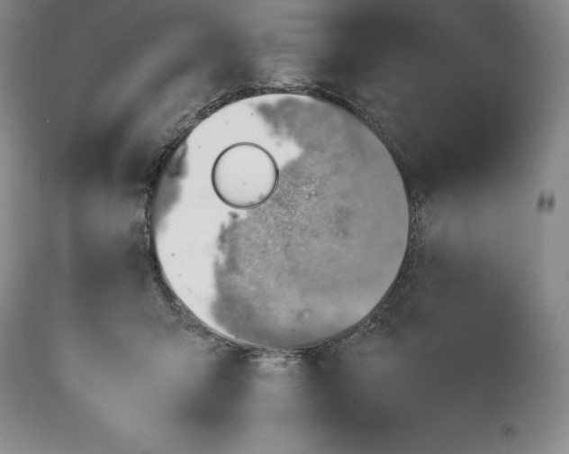 X0000113990415200910231734