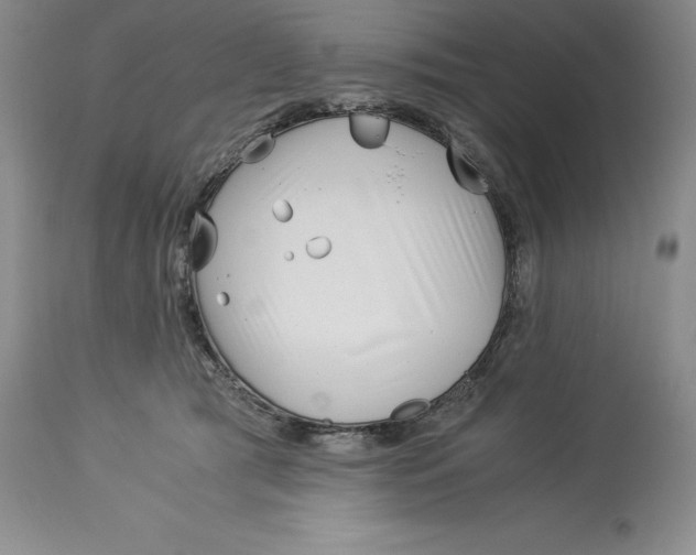 X0000113990417200910231734