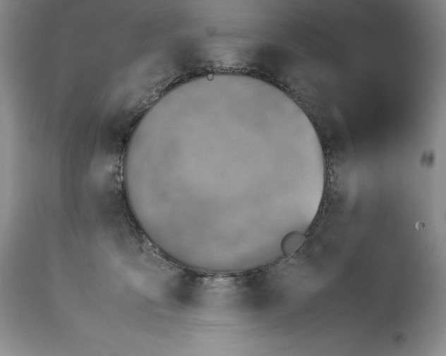 X0000113990419200910231734