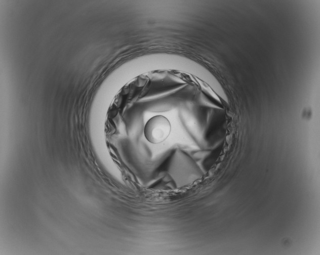 X0000113990421200910231734