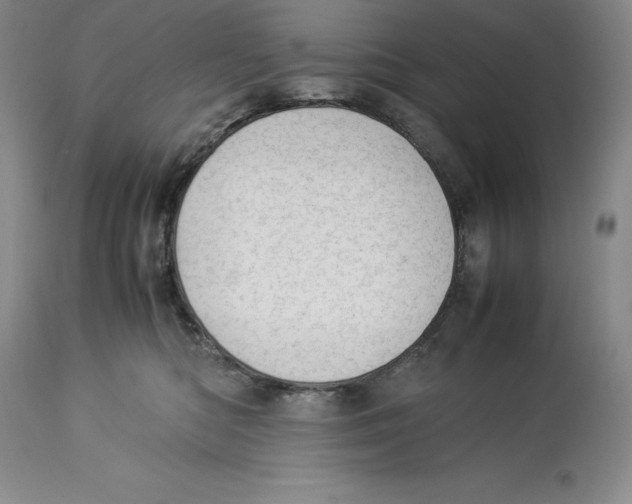 X0000113990422200910231734