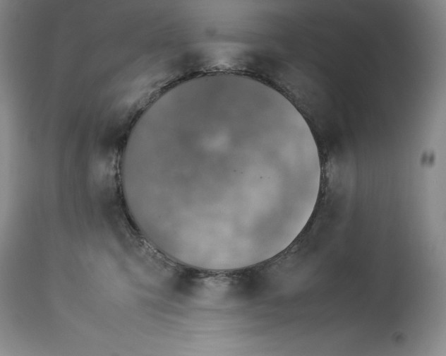 X0000113990423200910231734