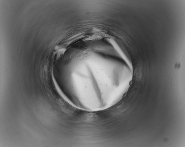 X0000113990424200910231734