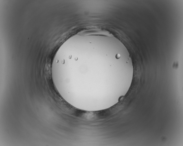 X0000113990425200910231734