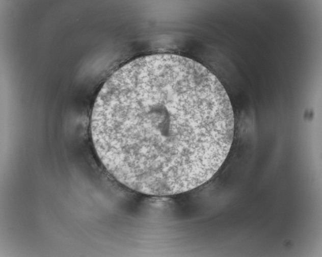 X0000113990427200910231734