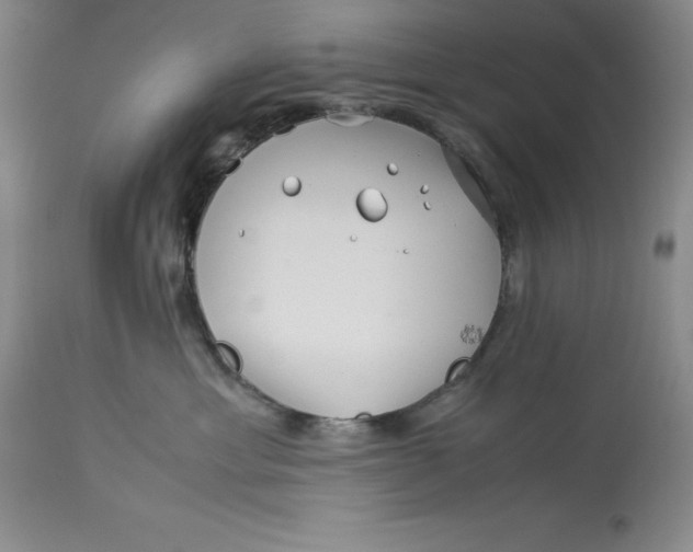 X0000113990429200910231734