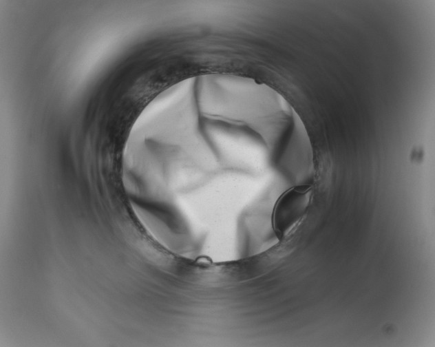 X0000113990430200910231734