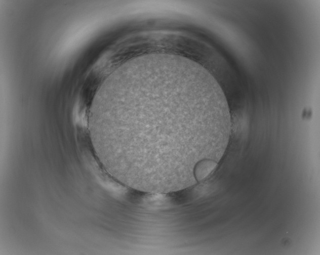 X0000113990431200910231734