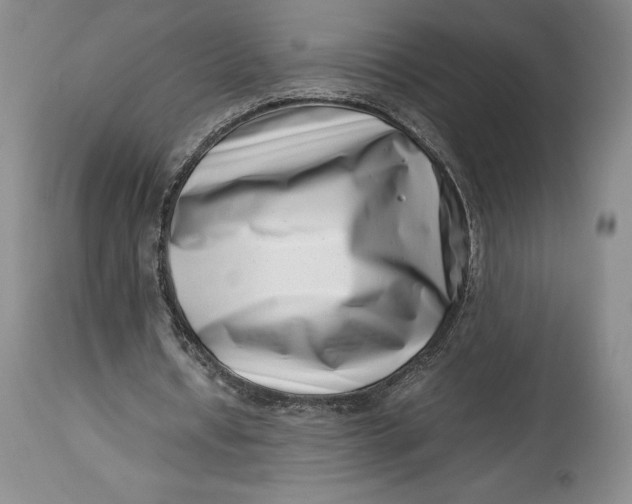 X0000113990434200910231733