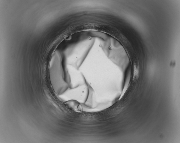 X0000113990435200910231733