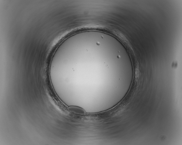 X0000113990436200910231733