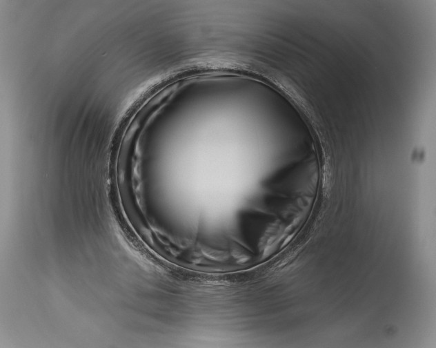 X0000113990438200910231733