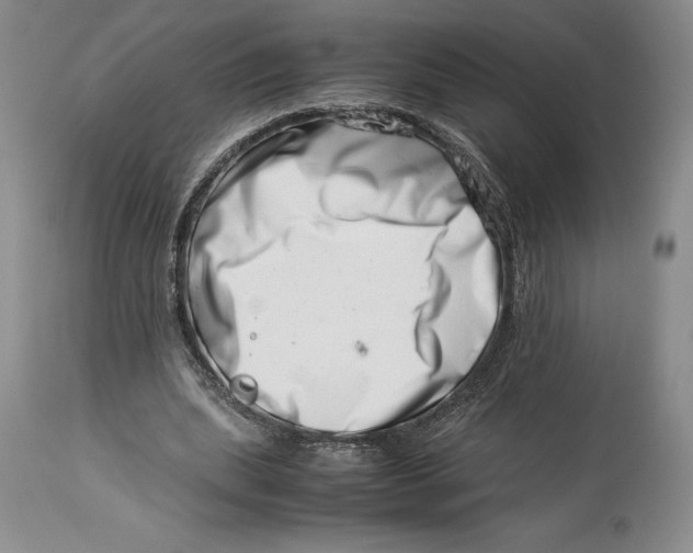 X0000113990439200910231733