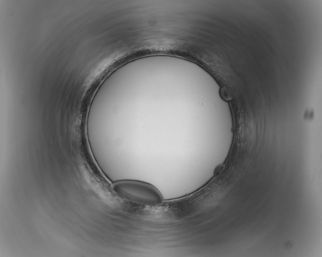 X0000113990440200910231733