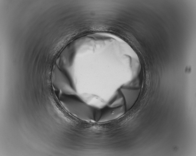 X0000113990441200910231733