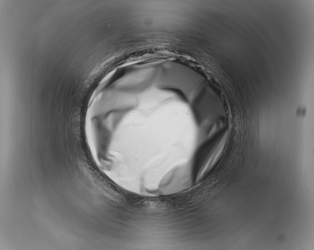 X0000113990442200910231733