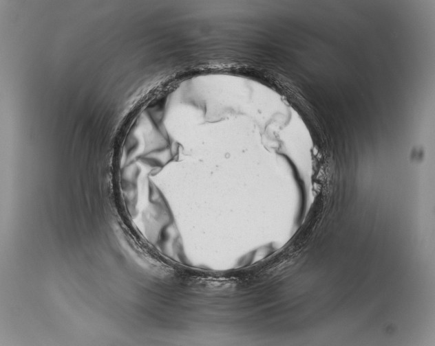 X0000113990443200910231733