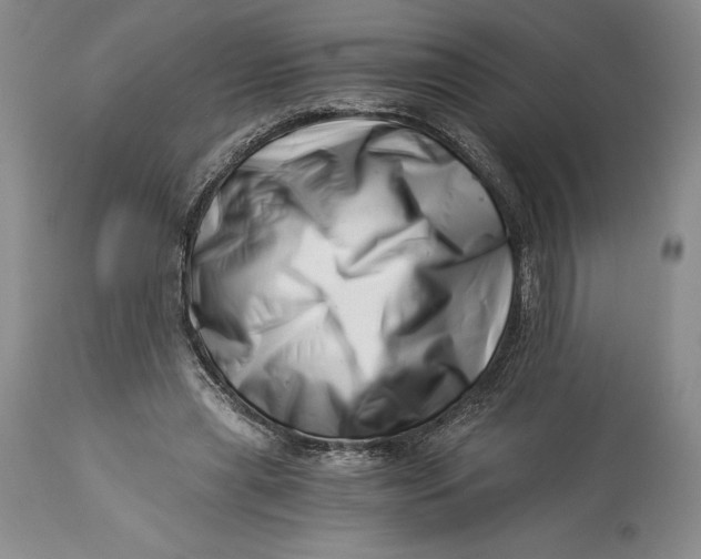 X0000113990445200910231733