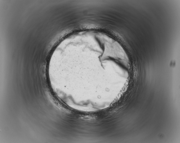 X0000113990447200910231733