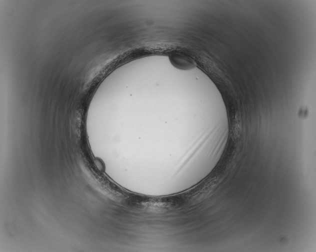 X0000113990448200910231733