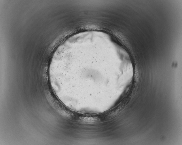 X0000113990449200910231733