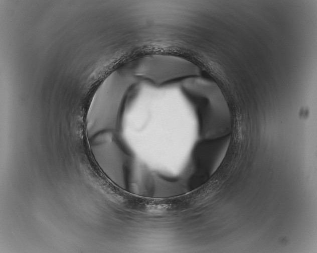 X0000113990450200910231733