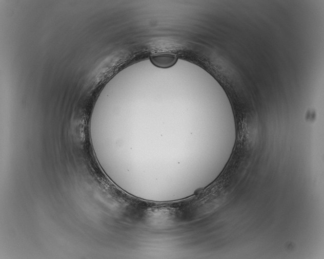 X0000113990452200910231733