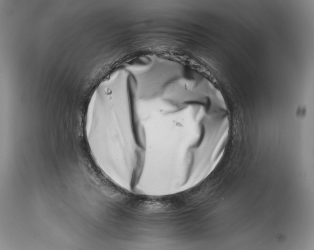 X0000113990453200910231733