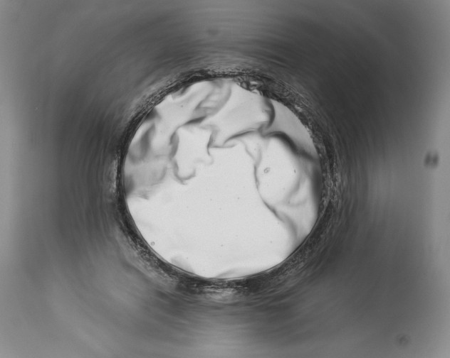 X0000113990454200910231733