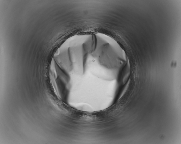 X0000113990455200910231733