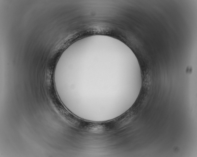 X0000113990456200910231733