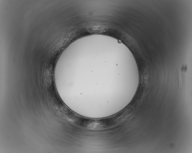 X0000113990460200910231733