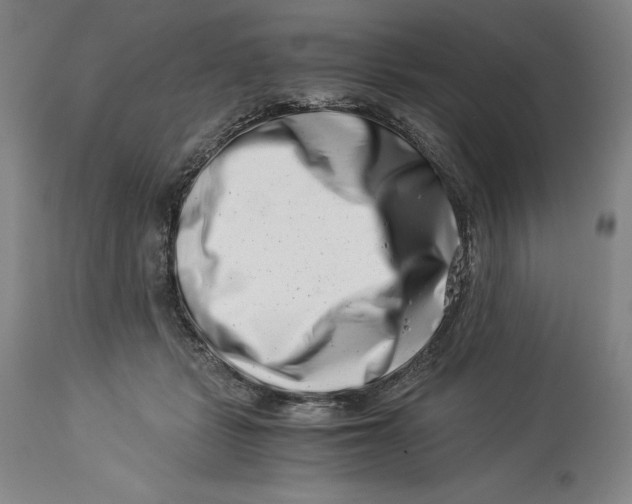 X0000113990461200910231733