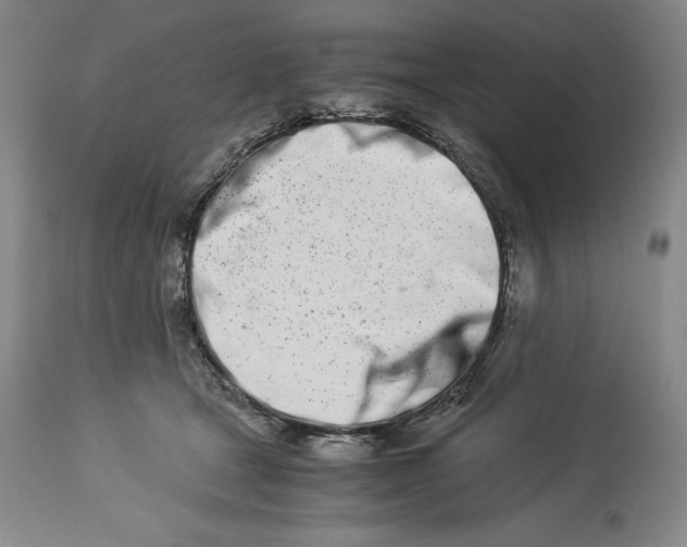 X0000113990465200910231734