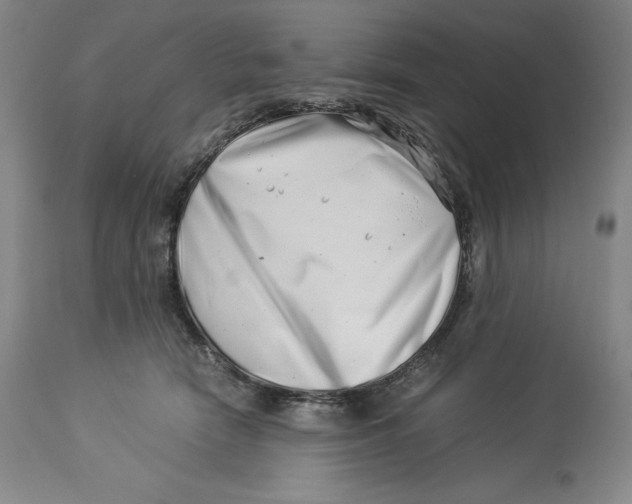 X0000113990466200910231734