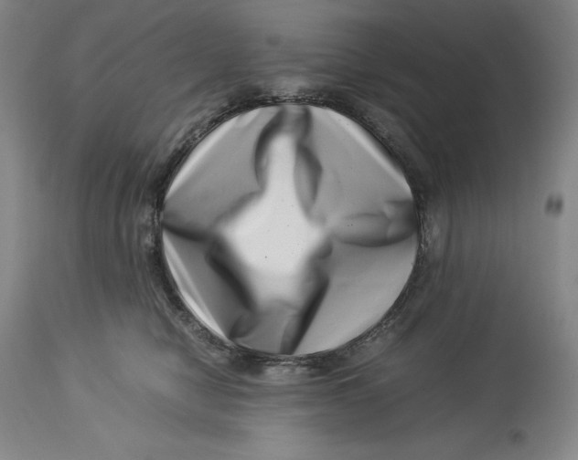 X0000113990470200910231734