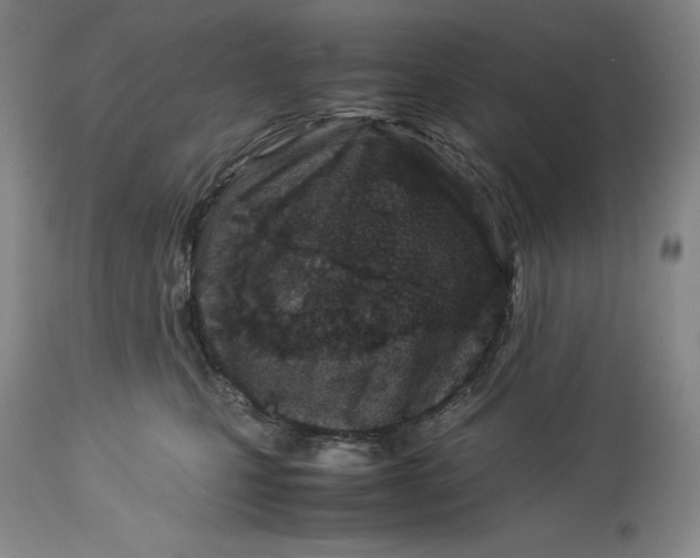 X0000113990471200910231734