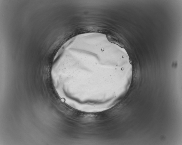 X0000113990473200910231734