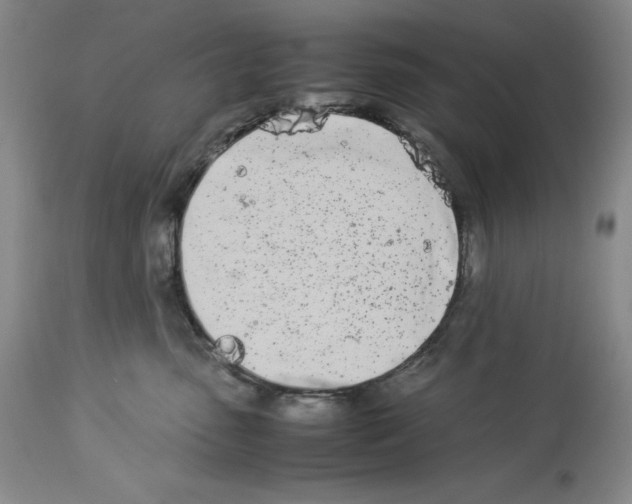 X0000113990475200910231734