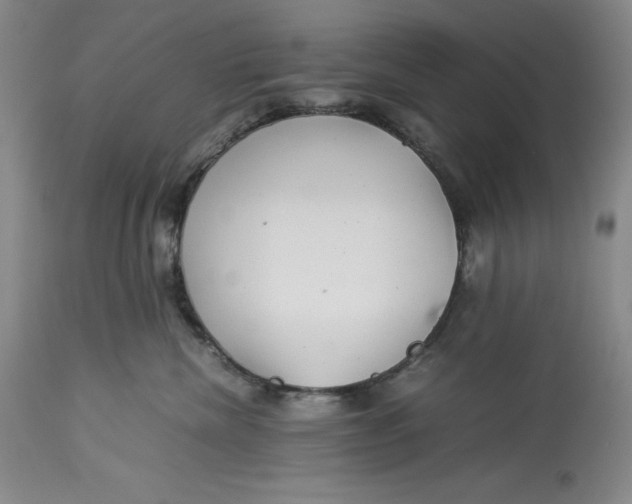 X0000113990476200910231734