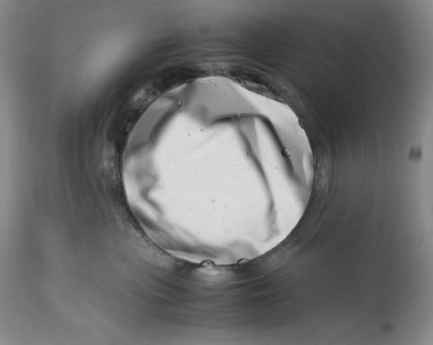 X0000113990477200910231734