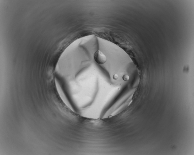 X0000113990478200910231734